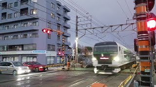 E257系5000番台特急開運成田山初詣八王子号高尾行き通過