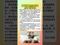 猫咪和狗狗为什么不像人类一样擦屁股？ 猫 萌宠 cat 猫 萌宠 萌宠出道计划 萌宠出道计划 pets 猫咪 猫咪 cute 宠物 宠物 养猫 dog