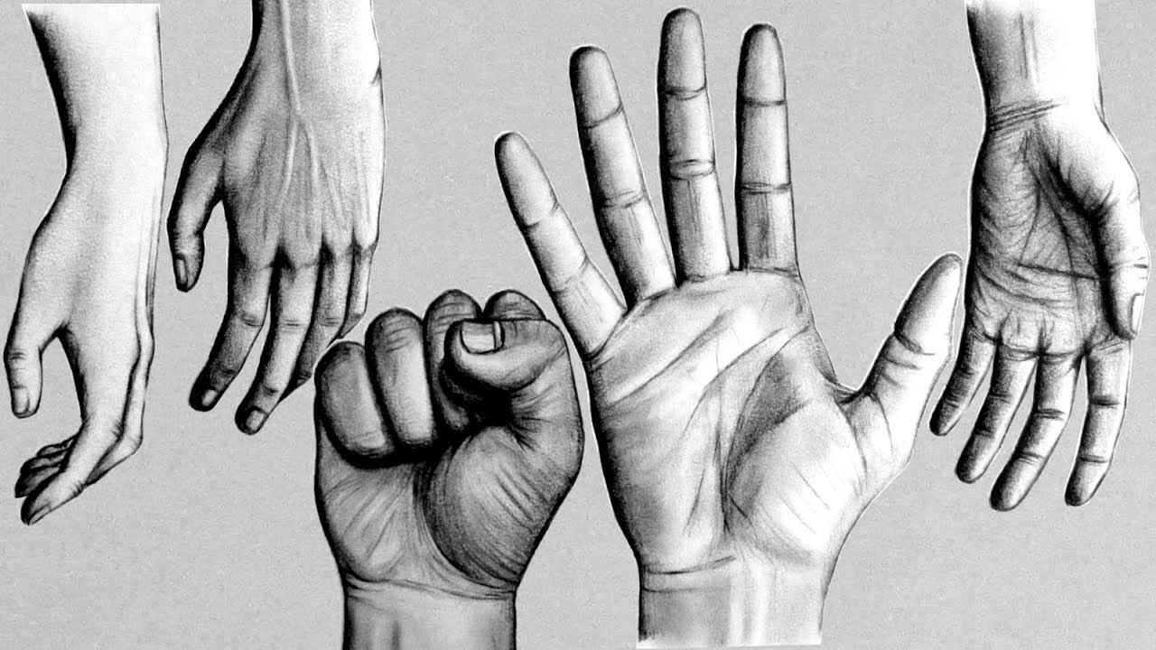 How To Draw Detailed Hands Amountaffect17