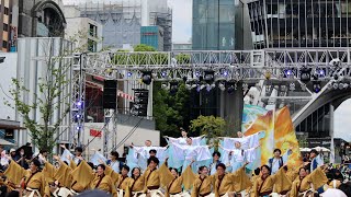 【にっぽんど真ん中祭り】福井大学よっしゃこい テレビ塔パレード会場 2023年度演舞『漣』2023/8/27