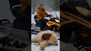 Miracle Rescue: Hero Saves Injured White Bear in Snowy Mountains#viralshortvideo