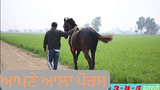 ਆਪਣੇ ਆਲਾ ਟਟੂਆ,, ਹੁਣ ਥਾਪੀਆਂ ਤਾਂ ਮਾਰਦਾ