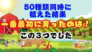 【箱庭開拓ハムスターと太陽の里】 1ヵ月で一番最初に育ったのは！  #36　【ネタバレ注意】 #箱庭開拓ハムスターと太陽の里 #ゲーム実況 #叶かずゆき