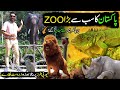 LAHORE ZOO | Explore Pakistan's Biggest Europe Style Zoo | CHAK DE PHATE