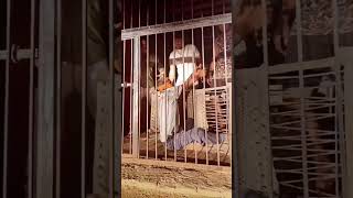 जेल में पार्टी Rahul Puthi New Haryanvi video 2023 Taal Haryanvi