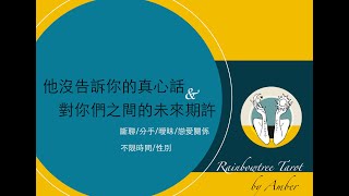 【彩虹樹洞🌈能量塔羅占卜_Amber】他沒告訴你的真心話，對你們之間的未來期許(斷聯/分手/曖昧/戀愛)天使給的祝福與建議(不限時間/性別/年齡)