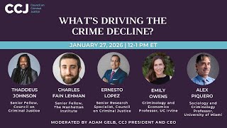 What's Driving the Crime Decline?