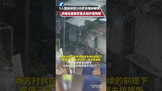 5人擅自修剪109岁古榕树被抓，涉嫌危害国家重点保护植物罪