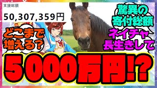 『ついに5000万円を突破してしまったナイスネイチャ35歳のバースデードネーション』に対するみんなの反応集 まとめ ウマ娘プリティーダービー レイミン 寄付 誕生日