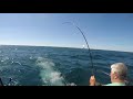 fishing with reel addicted charters and guide service on lake ontario