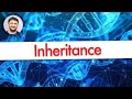 PHP OOP Inheritance