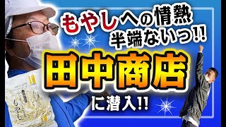 【もやしへの情熱半端ない!!】広島もやし工場に潜入すると驚き連発!! by田中商店