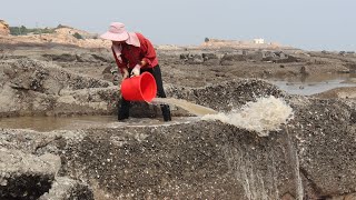 大螃蟹进入换壳期，为躲避天敌躲在大水坑等待，没想到碰上渔妹了