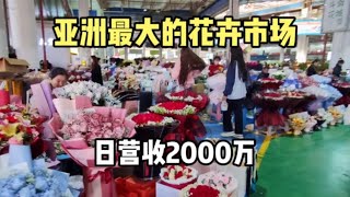 实拍云南昆明斗南花市，这是亚洲最大的花卉市场，日交易2000万！