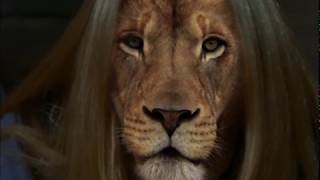 Animorphs Rachel Lion Morph