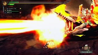 【MH3G HDver.】モンスターハンターを始めて数ヶ月の初心者がG級クリアを目指す長い旅 part23(アグナコトル編)