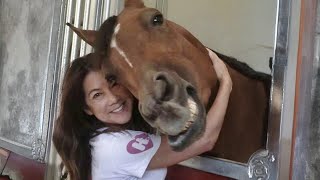 This Horse Displays Head To Head Affection? Cute Horse and Human Moments ✨🐎