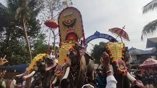 രാമ രാജാവ്🔥 അക്കിക്കാവ് പൂരം❤️#pooram #kerala #viral #2023 #aana #aanakeralam #festivevibes #viral