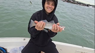 Slamming Trout and Blue Fish at Port Canaveral