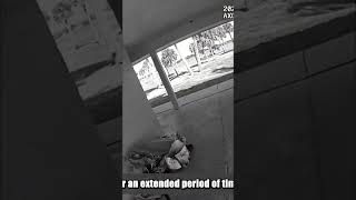 Arrested for SLEEPING?! Daytona Beach Police Clash Over Park Rules #shorts