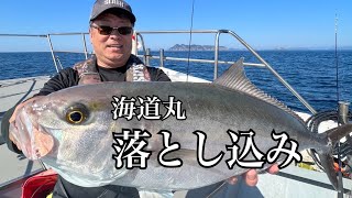 海道丸★宇和海の落し込みカンパチ狙い