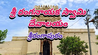 SRI RANGANATHA SWAMY TEMPLE || SRI RANGAPURAM || NEAR PEBBAIR || GADWAL SRS VLOGS