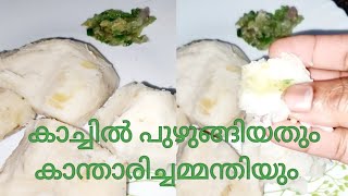 കാച്ചിൽ പുഴുങ്ങിയതും കാന്താരി ചമ്മന്തിയും 😍 | kaachil