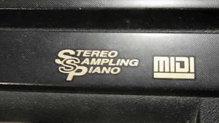 Perfect Stereo Sampling Piano - Yamaha PSR-195 and Moog Moogerfooger MF-105M MIDI Mud