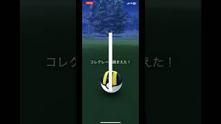 【ポケモンGO】コレクレー、げっと！ #Shorts