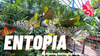 Entopia by Penang Butterfly Farm (2021)