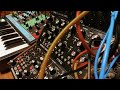 Moog Sound Studio 3 | Grandmother | Sequencer Step Random