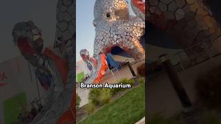 Branson Aquarium #aquarium #bransonmo #vacation #travel #family #familytrip #roadtrip