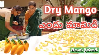 Dry Mango Fruits Making | ఎండు మామిడి పండ్లు తయారు చేసే విధానం | తెలుగు రైతు బడి