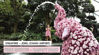 FREE ENTRY?! - Canopy Park (星空花园) | Jewel, Changi Airport (新加坡樟宜機場) Walking Tour | DJI Osmo Pocket