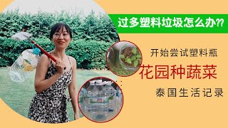 泰国生活:过多的塑料垃圾/我用塑料瓶花园种蔬菜:延长塑料用品的使用