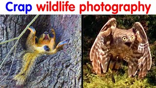 50 Crappy Wildlife Photos That Are So Bad They’re Good (NEW PICS)