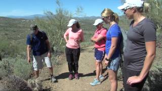 Alena Sharp Takes a Hike at the Beautiful Phoenix Northern Preserve