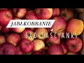 Jabłkobranie w ekologicznym Sadzie Zaścianki | FoodpornTrip