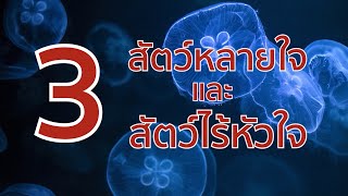 3 สัตว์หลายใจ และ 3 สัตว์ไร้หัวใจ