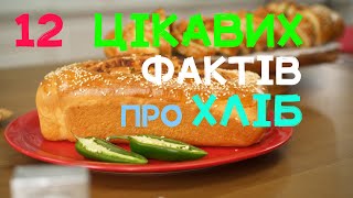 12 цікавих фактів про хліб. Булочки з родзинками, сендвіч, ячмінне зерно, борошно, хліб пращурів.