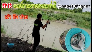 EP.13ตกปลาหมายธรรมชาติ@คลอง13ลำลูกกา🛣️🛣️เช้าถึงบ่าย ใส่เดือน พบ ตะกร้อเม็ดโฟม (กินดีพอๆกัน)