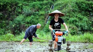 农村姑娘爱岗敬业，冒着雨在犁田，80多岁的爷爷也毫不逊色【湘西十三妹】