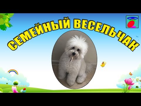 Смешной Весельчак. Поднимаем настроение вместе с каналом Смешной Весельчак. Поднимаем настроение вместе с каналом