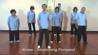 Tai Chi with Dr Paul Lam Vagott