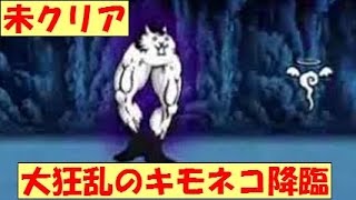 未クリア　ムキフェス！極ムズ【大狂乱のキモネコ降臨】にゃんこ大戦争 battle cats