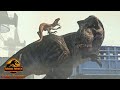 Tyrannosaurus Rex(Big Eatie) Vs Atrociraptors(Ghost, Tiger and Panthera) Jurassic World Chaos Theory