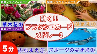 動く フラッシュカード 4種連続 メドレー3 幼児向け単語60語 0歳〜3歳から始める 知育 ・ 幼児教育　Japanese Flash card medleys for kids