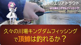 久々の川場キングダムフィッシングで頂鱒は釣れるか？