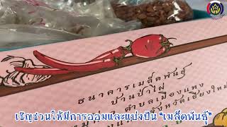 หมู่บ้านเศรษฐกิจพอเพียง บ้านป่าไผ่ อ.เวียงเเหง จ.เชียงใหม่@eakkachatchannel8290