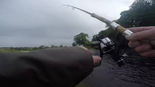 Beash’s sea trout Little moat canonbie esk 2/10/21